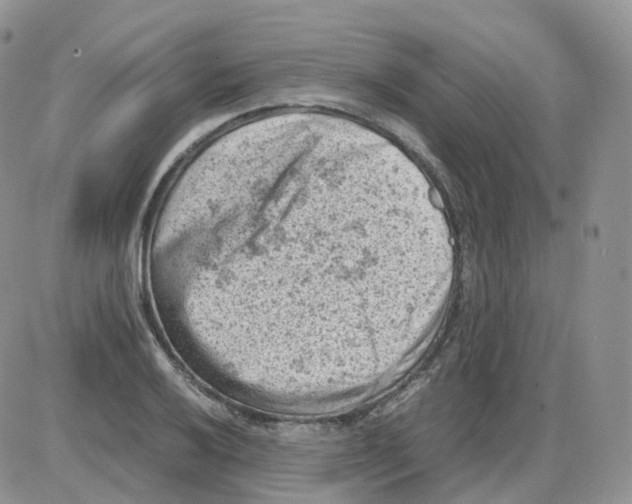 X0000086031032200704201941