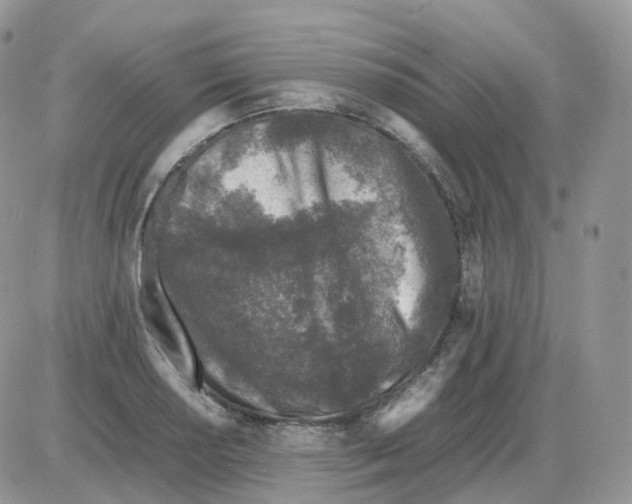 X0000086031034200704201941