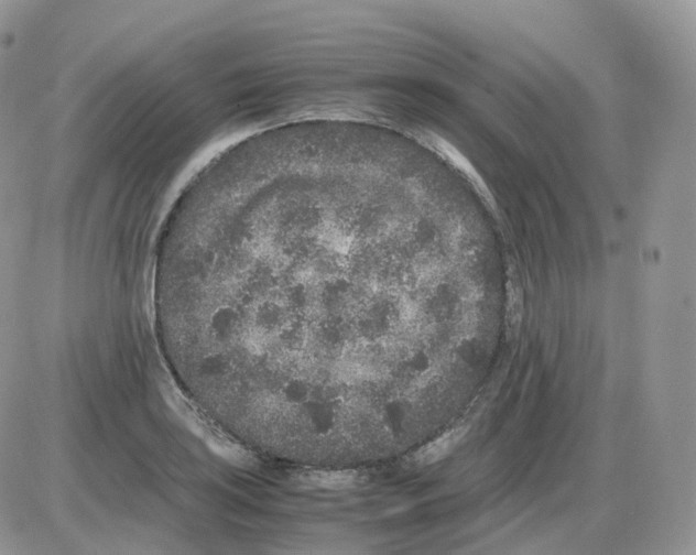 X0000086031035200704201941