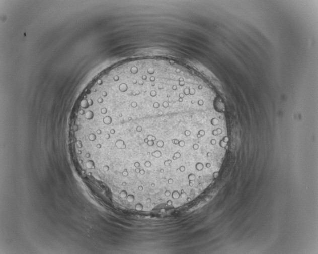 X0000086031039200704201941