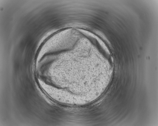 X0000086031040200704201941