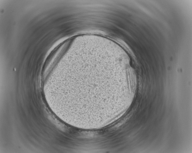 X0000086031044200704201941