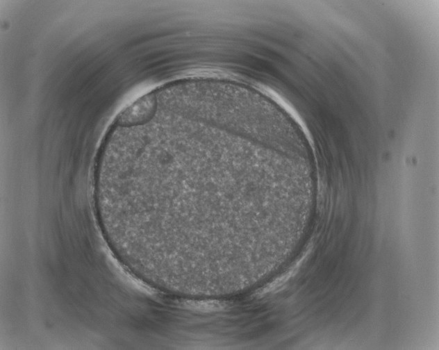 X0000086031045200704201941