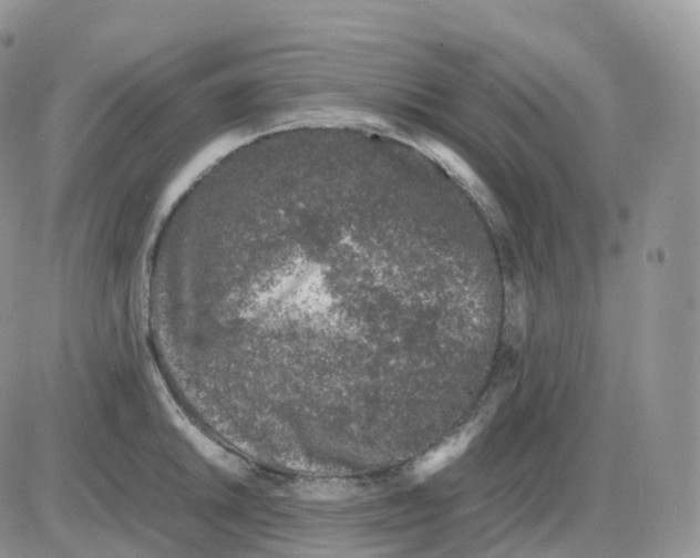 X0000086031046200704201941