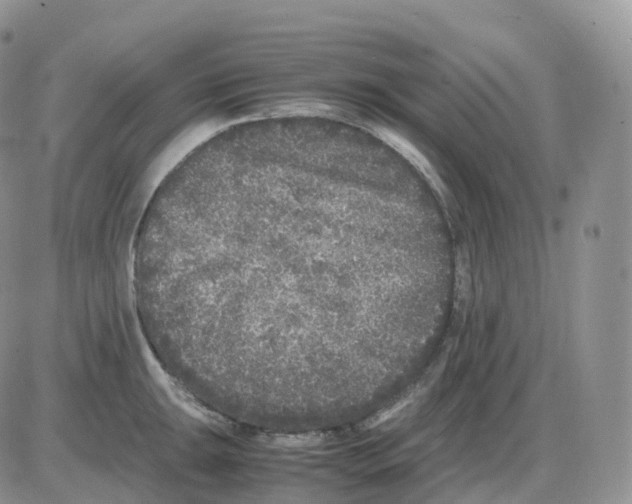 X0000086031047200704201941