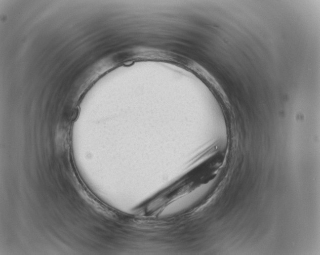 X0000086031049200704201941