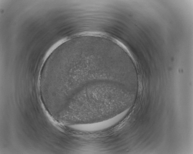 X0000086031050200704201941