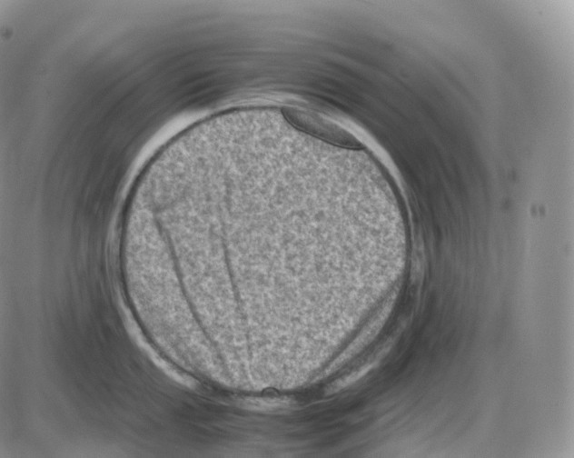 X0000086031053200704201941