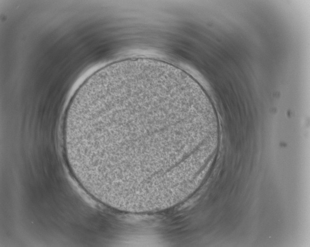 X0000086031056200704201941