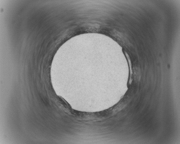 X0000086031057200704201941