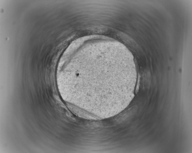 X0000086031058200704201940