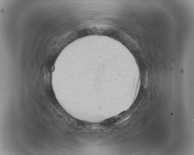 X0000086031061200704201940