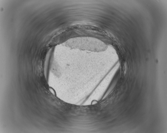 X0000086031062200704201940