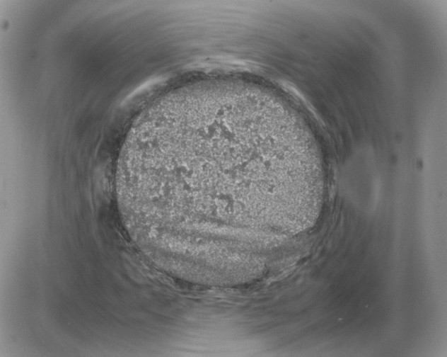 X0000086031063200704201940