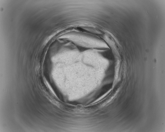 X0000086031065200704201940