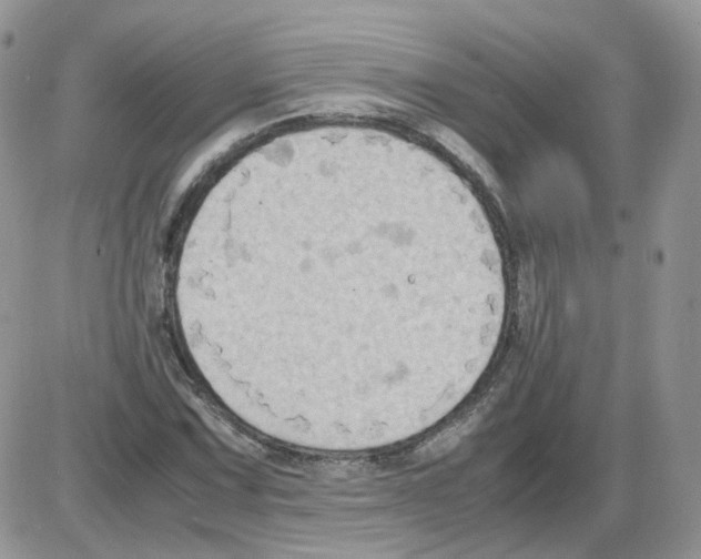 X0000086031067200704201940