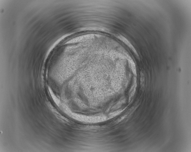 X0000086031068200704201940