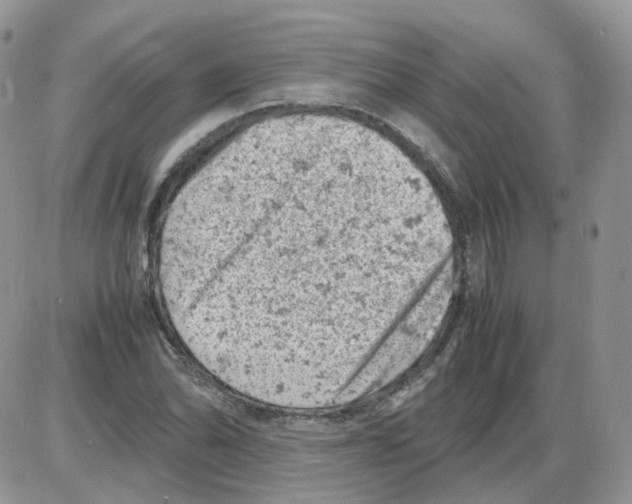 X0000086031070200704201940