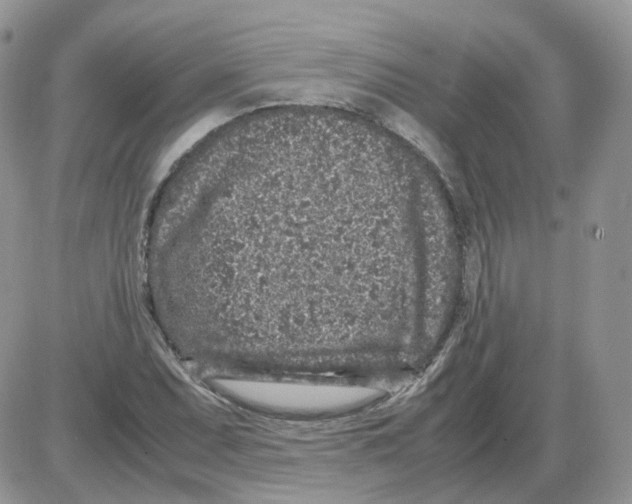 X0000086031071200704201940