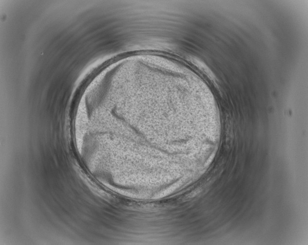 X0000086031072200704201940