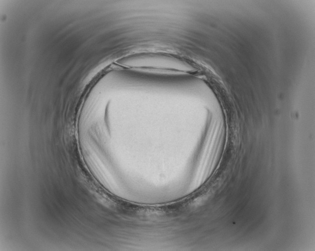 X0000086031073200704201940