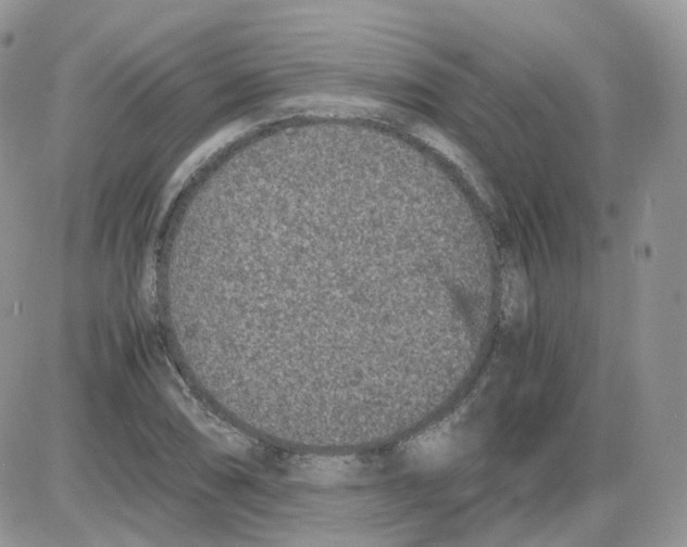 X0000086031074200704201940