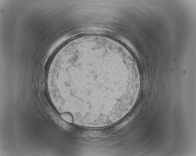 X0000086031075200704201940