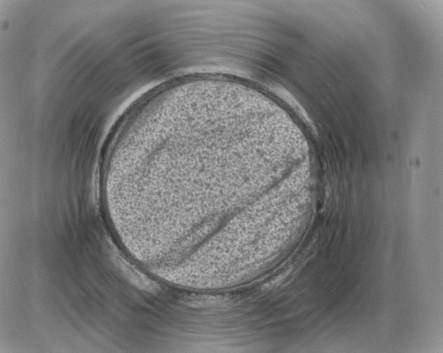 X0000086031076200704201940