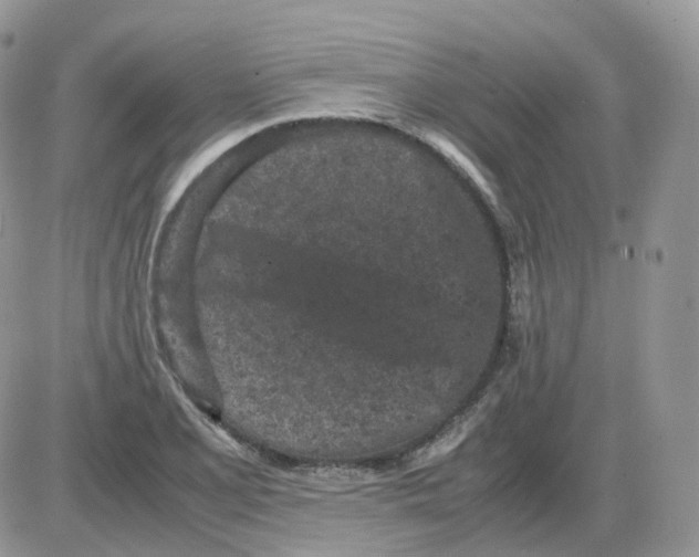 X0000086031077200704201940