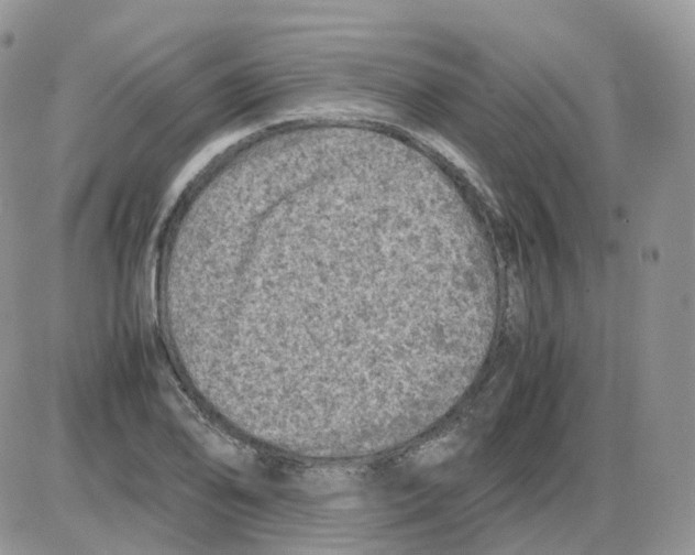 X0000086031078200704201940