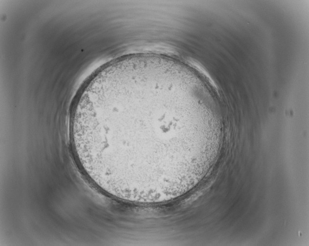 X0000086031079200704201940