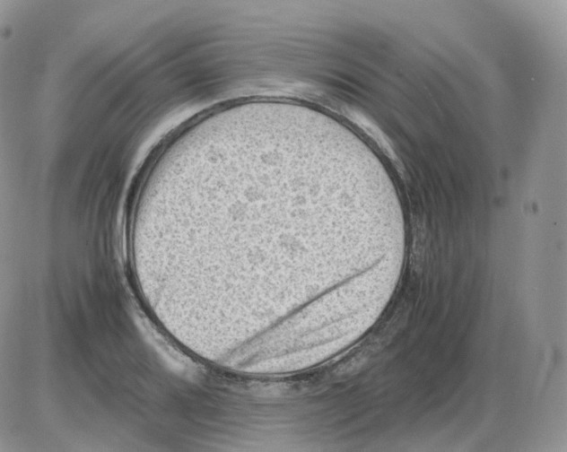 X0000086031080200704201940