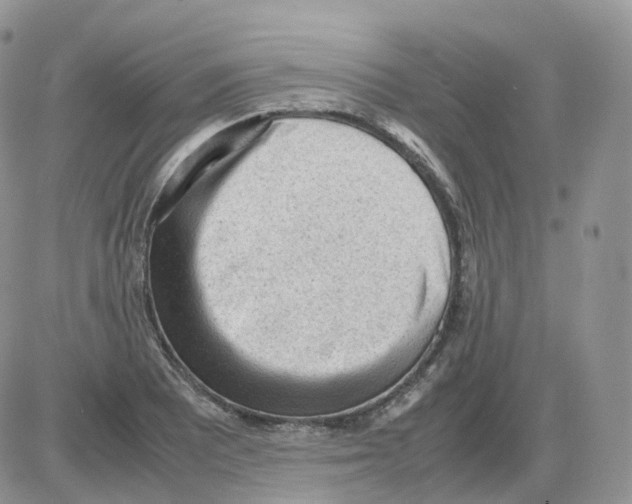 X0000086031081200704201940