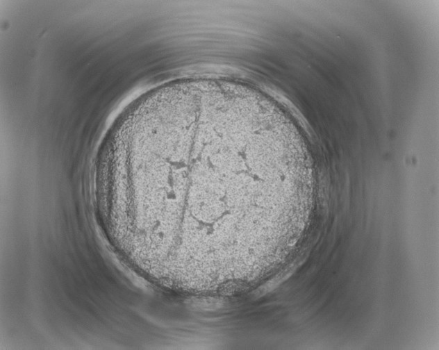 X0000086031083200704201940