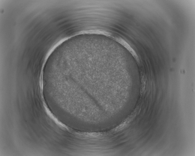 X0000086031084200704201940