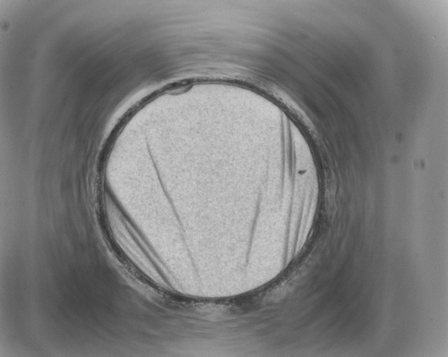 X0000086031085200704201940