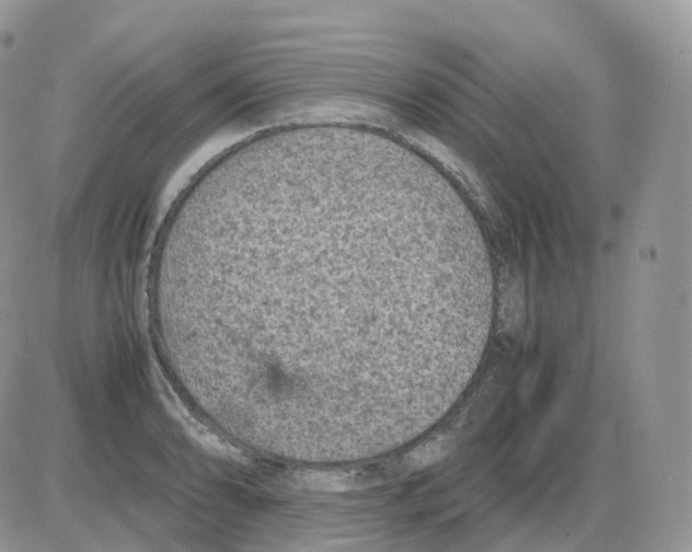 X0000086031086200704201940