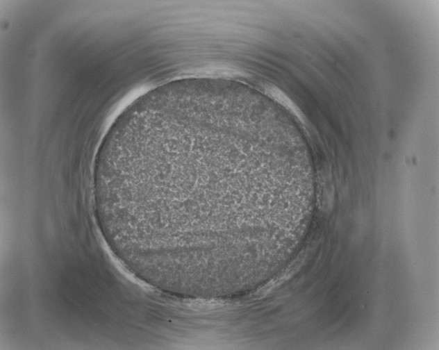 X0000086031087200704201940