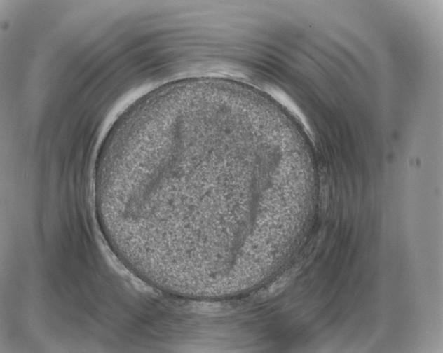 X0000086031088200704201940