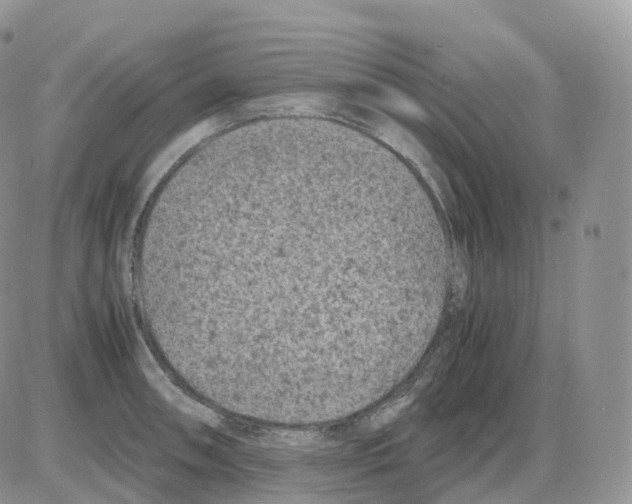 X0000086031090200704201940