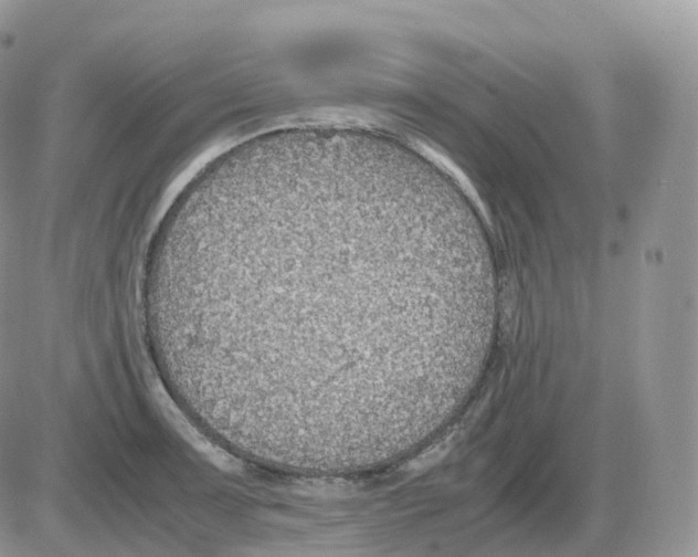 X0000086031091200704201940