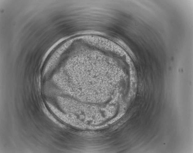 X0000086031092200704201940