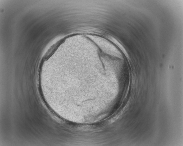 X0000086031093200704201940