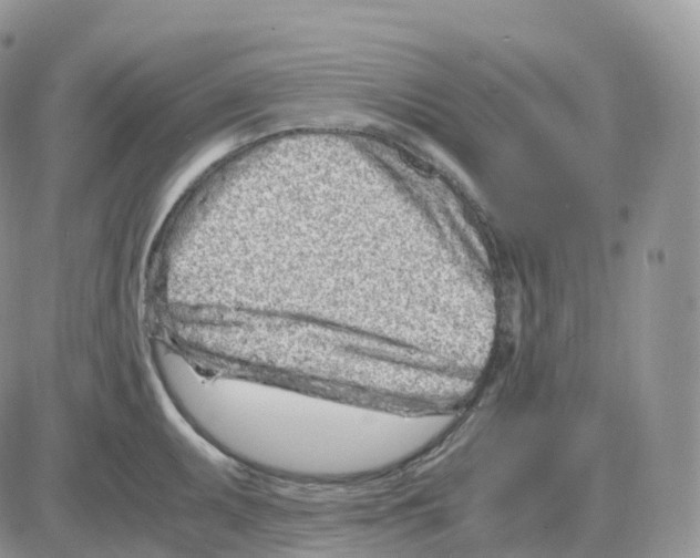 X0000086031095200704201940