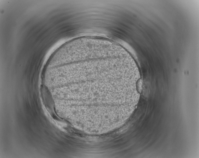 X0000086031096200704201940