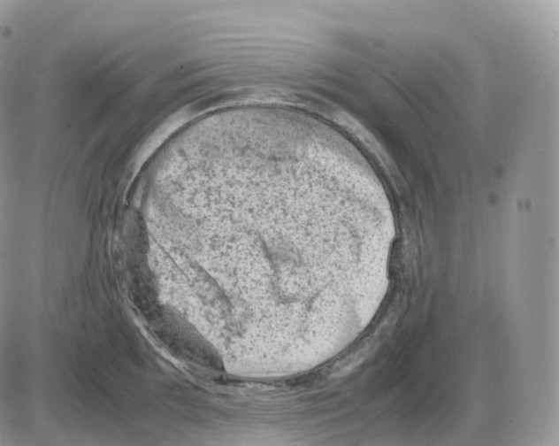 X0000086031097200704201940