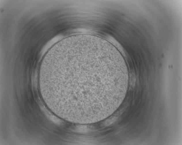 X0000086031098200704201940