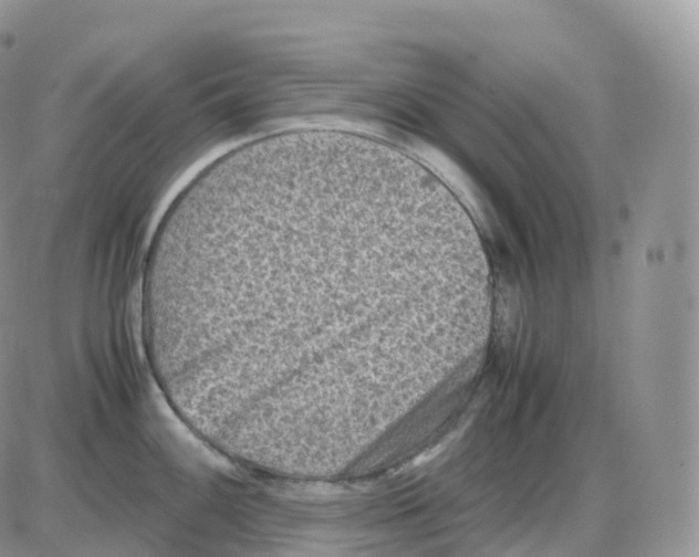 X0000086031100200704201940