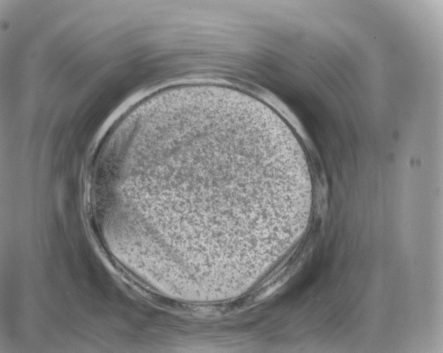 X0000086031101200704201940