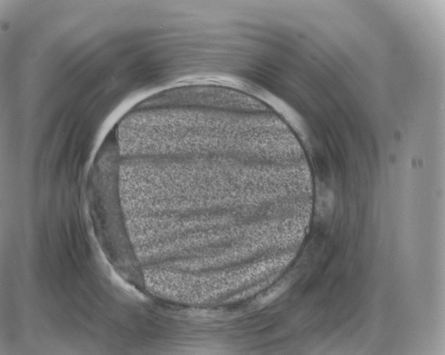 X0000086031102200704201940